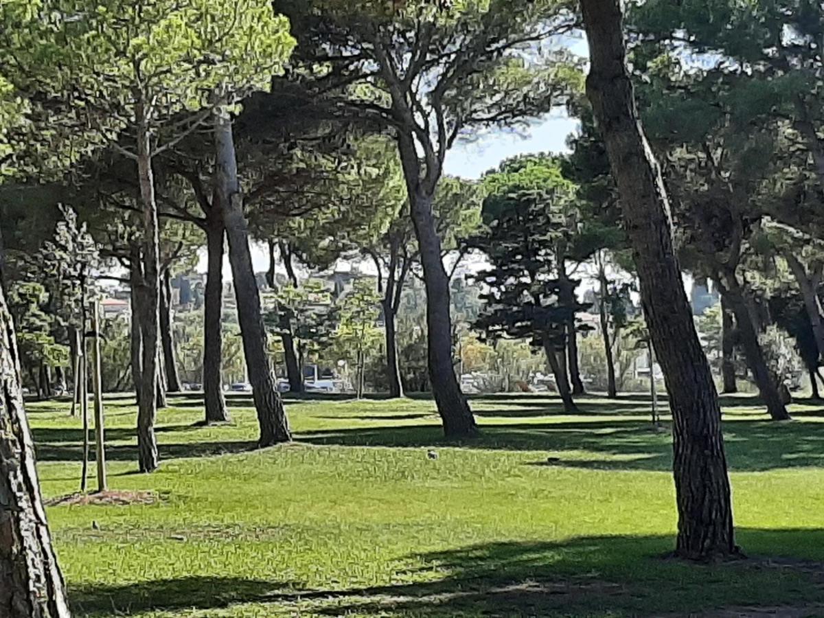 Entre Port Et Village Gruissan Dış mekan fotoğraf